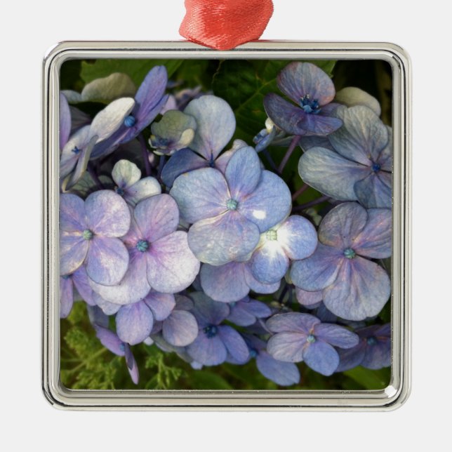 Ornamento De Metal Hydrangea púrpura azul (Frente)