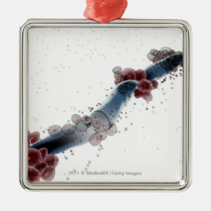 Ornamento De Metal Ideia microscópica de Wireframe de albicans da