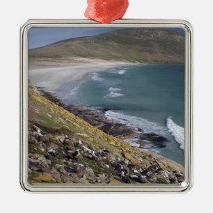 Ornamento De Metal Ilhas Falkland, West Falkland, Saunders
