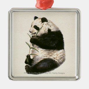Ornamento De Metal Ilustração da panda gigante que alimenta no bamb