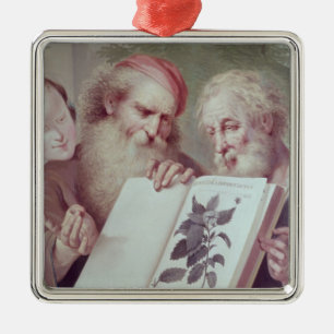 Ornamento De Metal Ilustração de Hortus Cliffortianus