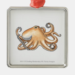 Ornamento De Metal Ilustração de um polvo