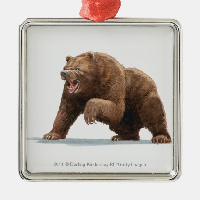Ornamento De Metal Ilustração de um urso de Brown (Frente)