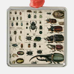Ornamento De Metal Ilustração do besouro do vintage