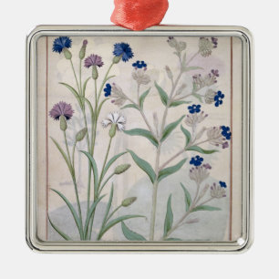 Ornamento De Metal Ilustração do "livro das medicinas simples" 3