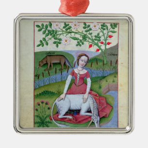 Ornamento De Metal Ilustração 'do livro de medicinas simples