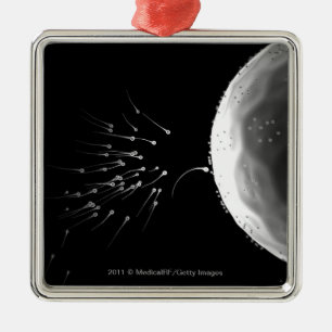 Ornamento De Metal Ilustração preto e branco da fecundação