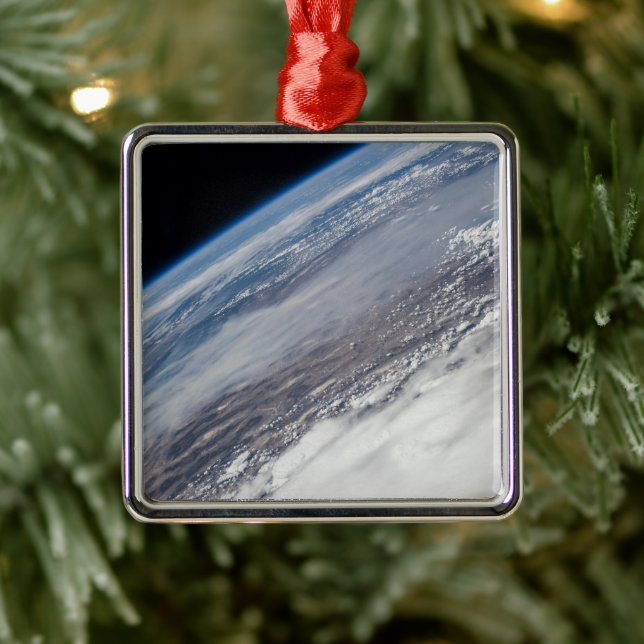 Ornamento De Metal Incêndio No Parque Nacional De Yosemite E Na Flore (Árvore)