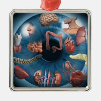 Ornamento De Metal Iridology