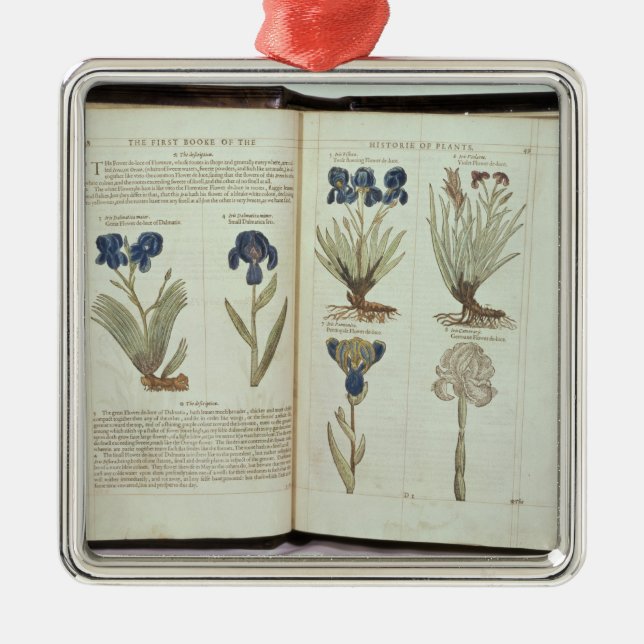 Ornamento De Metal Íris (Frente)