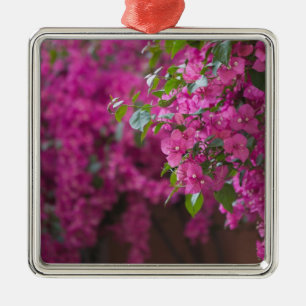 Ornamento De Metal Itália, Sicília, Cefalu, pátio de flores