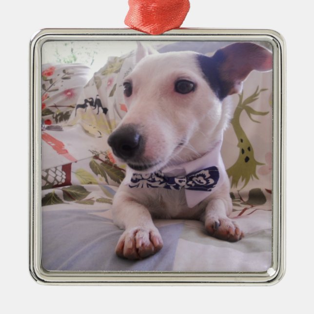 Ornamento De Metal Jack Russell Terier (Frente)