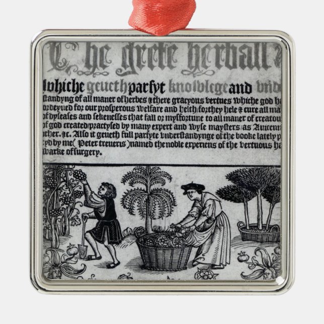 Ornamento De Metal Jardim de erva medieval (Frente)