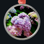 Ornamento De Metal Jardins de hipérsia floral, cor-de-rosa-rosa, cor-<br><div class="desc">Antigamente romântica e velha moda colorida. Lindo fotografia - pínus roxos azuis e verdes. Fotografia do meu jardim.</div>