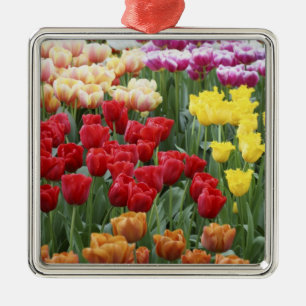 Ornamento De Metal Jardins Keukenhof, Holanda, especializa-se em 2