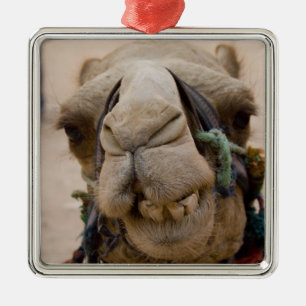 Ornamento De Metal Jordânia, antiga cidade nabatiana de Petra