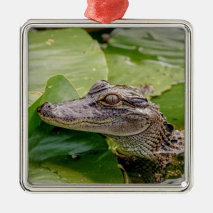 Ornamento De Metal Jovem Alligator