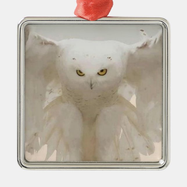 ORNAMENTO DE METAL JULIAN OWL ORNAMENT (Frente)