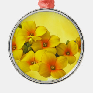 Ornamento De Metal Kalanchoe amarelo - luz do sol do Succulent