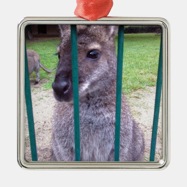 Ornamento De Metal Kangaroo atrás dos bares (Frente)