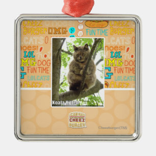 Ornamento De Metal Koala Kitteh