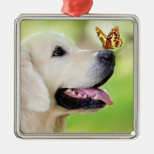 Ornamento De Metal Labrador E Travesseiro decorativo De Borboleta