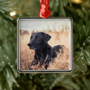 Ornamento De Metal Labrador Negro De Grama Seca