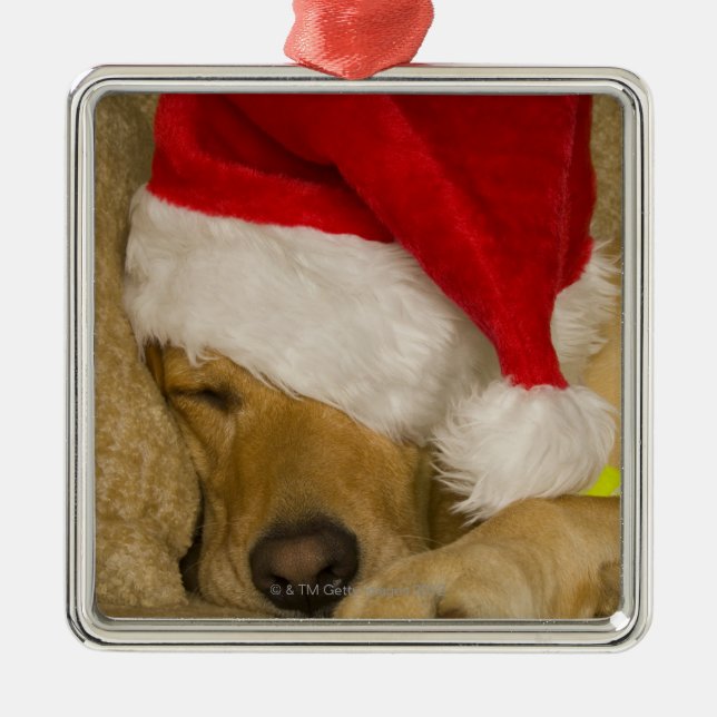 Ornamento De Metal Labrador Papai Noel (Frente)