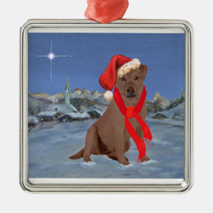 Ornamento De Metal Labrador Retriever Chocolate de Natal