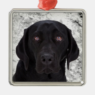 Ornamento De Metal Labrador retriever preto
