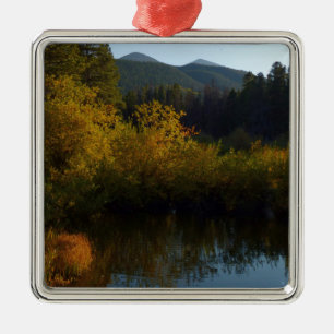 Ornamento De Metal Lago Sprague em outono