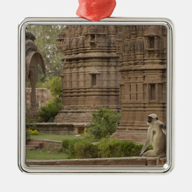 Ornamento De Metal Langures de Hanuman ou Langur cinzento, comum ou d (Frente)
