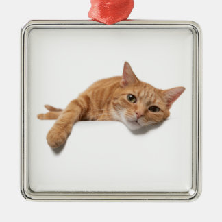 Ornamento De Metal Laranja Gato