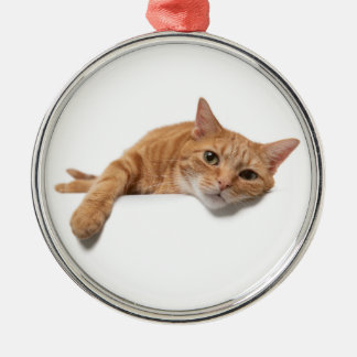 Ornamento De Metal Laranja Gato