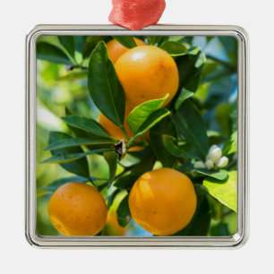 Ornamento De Metal Laranjeira em Frutificação