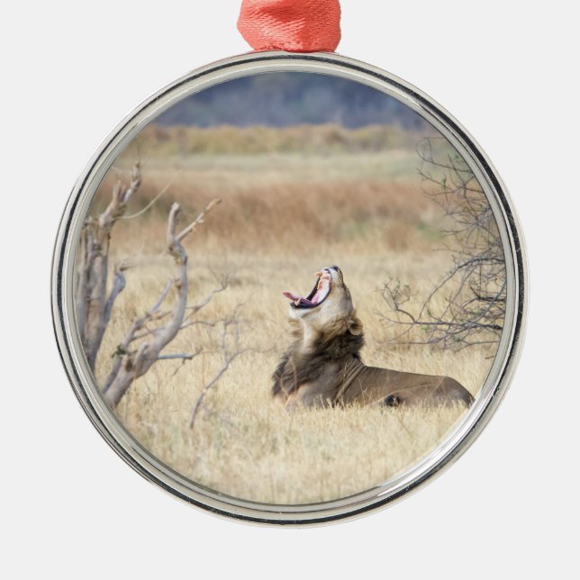 Ornamento De Metal Leão de bocejo (Frente)