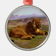 Leão selvagem na savana africana