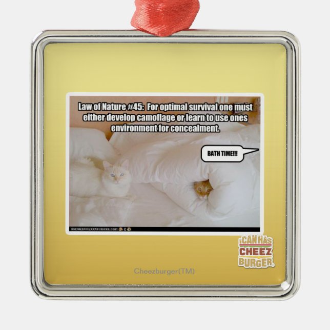 Ornamento De Metal Lei de natureza #45 (Frente)