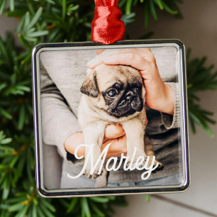 Ornamento De Metal Lembrança de Foto de Animal de Estimação Personali