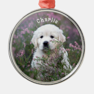 Ornamento De Metal Lembrança Moderna para Animais de Estimação