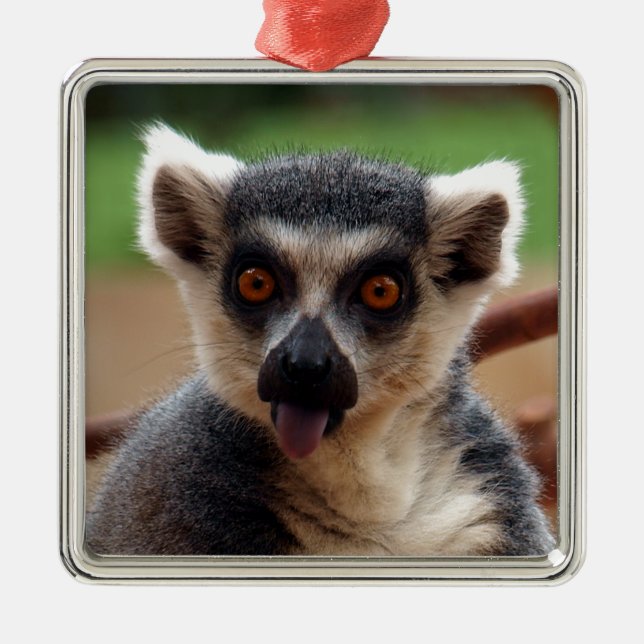 Ornamento De Metal Lemur (Frente)