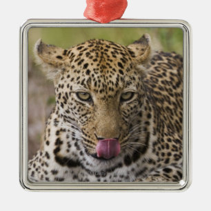 Ornamento De Metal Leopardo
