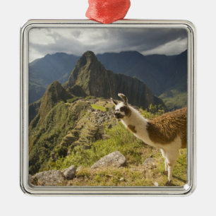 Ornamento De Metal Lhamas e uma vista geral de Machu Picchu,