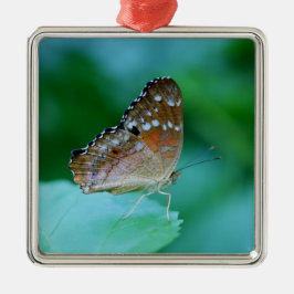 Ornamento De Metal Linda Borboleta Danaus Plexippus em Folha.
