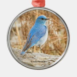 Ornamento De Metal Linda Montanha Bluebird Songbird no Log