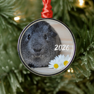 Ornamento De Metal Lindo Smooth, Porquinho-da-índia Agouti Prateado e