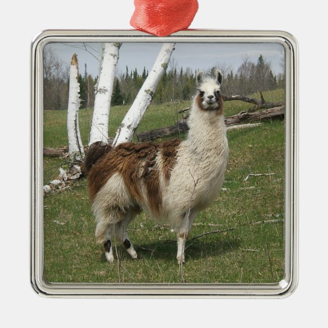 ORNAMENTO DE METAL LLAMA (Frente)