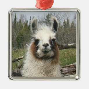 ORNAMENTO DE METAL LLAMA FACE
