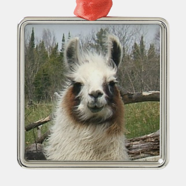 ORNAMENTO DE METAL LLAMA FACE (Frente)