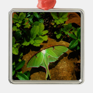 Ornamento De Metal Luna verde-gigante